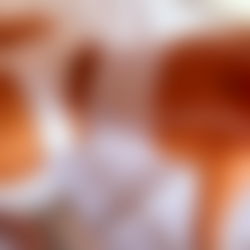 April valbuena photo