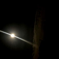Full Moon Viewed Through Tree Limbs