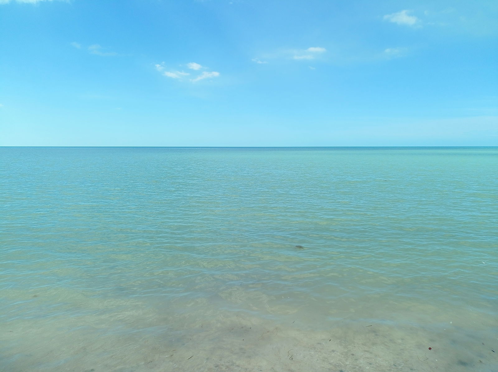 Gaby Verdiguel photo