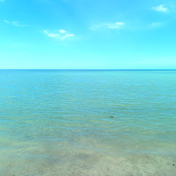 Gaby Verdiguel photo