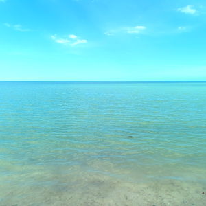 Gaby Verdiguel photo