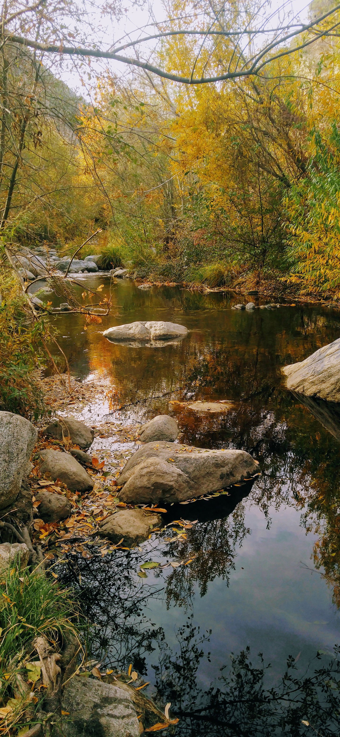 Annabelle Glacier photo