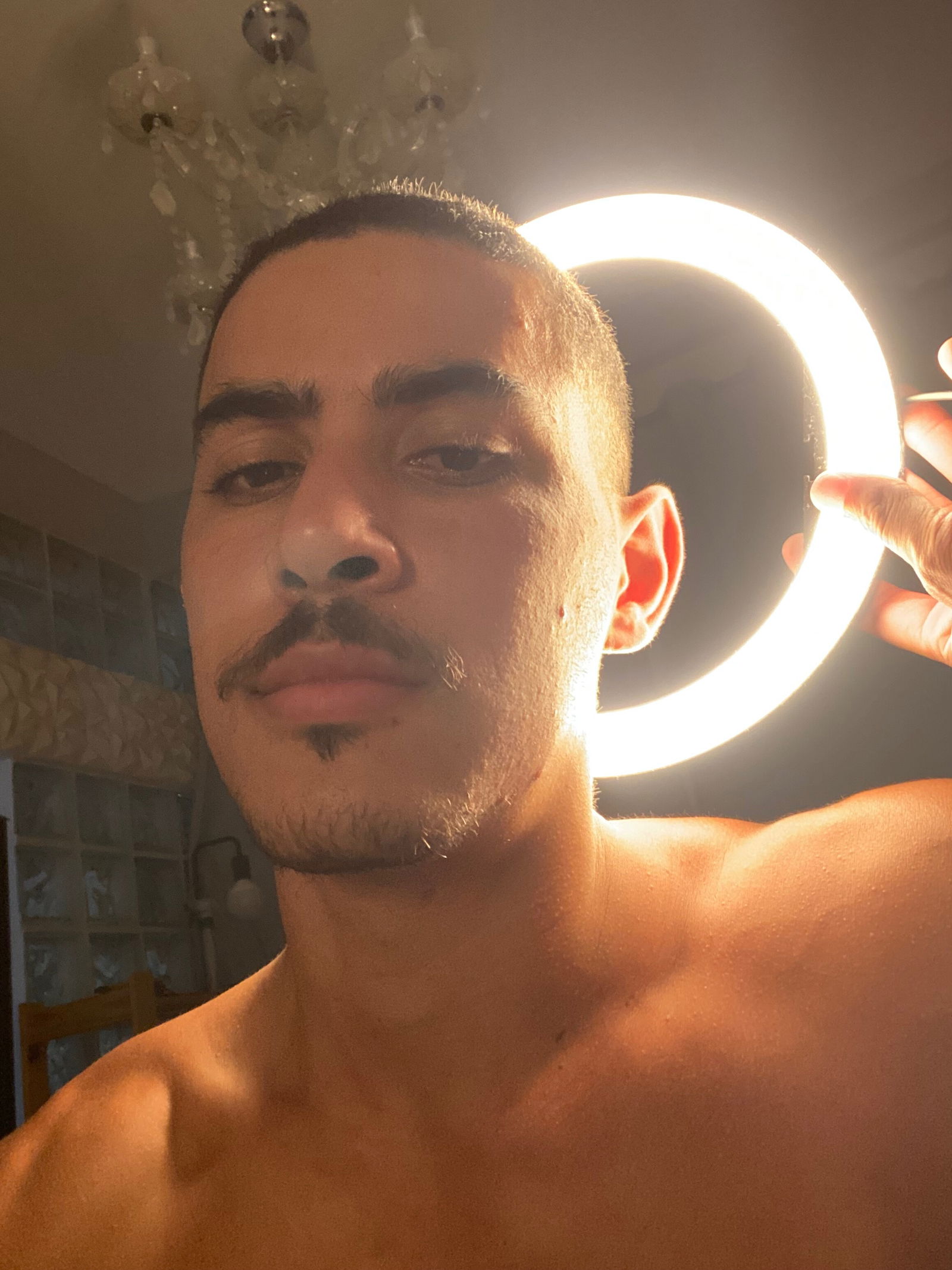 Diablobiel - VIP PAGE 💲 photo