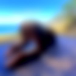 ๐ฝ๐ช๐ฝ๐ฝ๐ฎ๐ญ๐๐ฑ๐๐ท photo