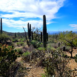 Assassin Nation photo