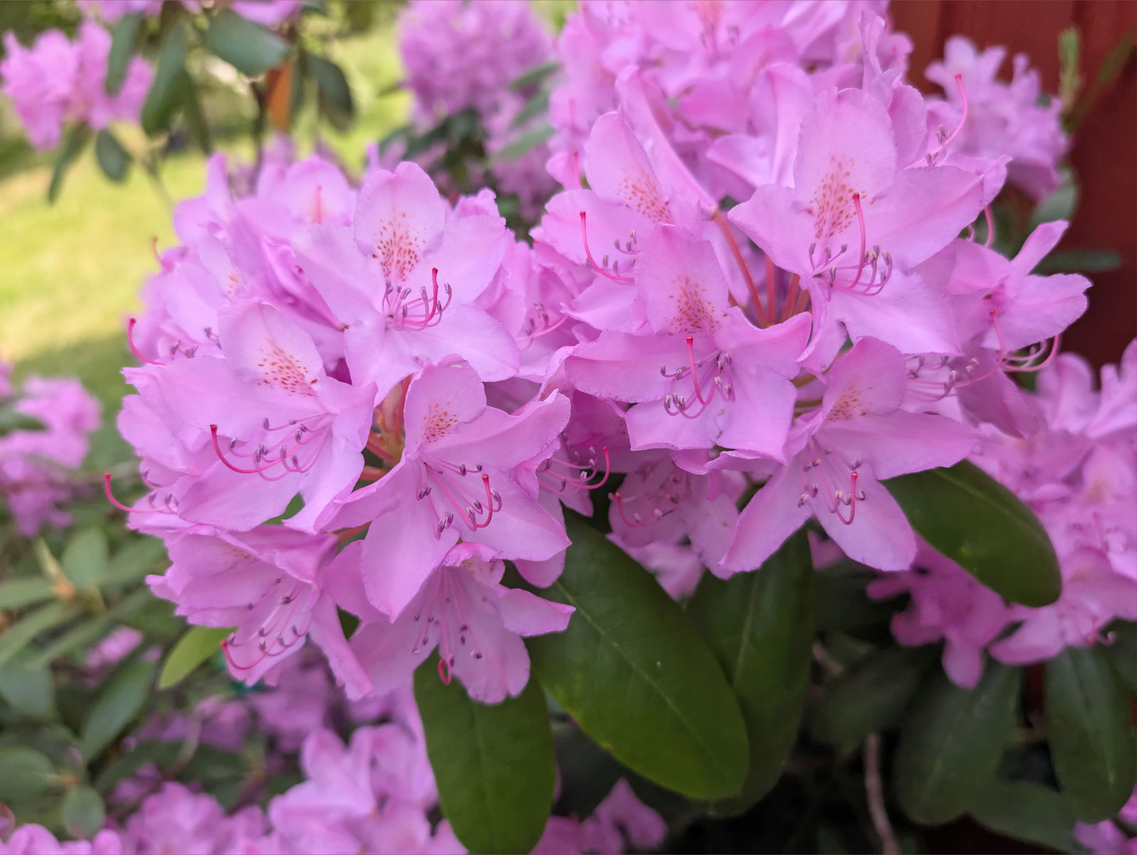 My_dirty_diary photo