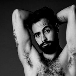 A Professional Model in Action