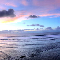 s i r e n a 🦋 photo