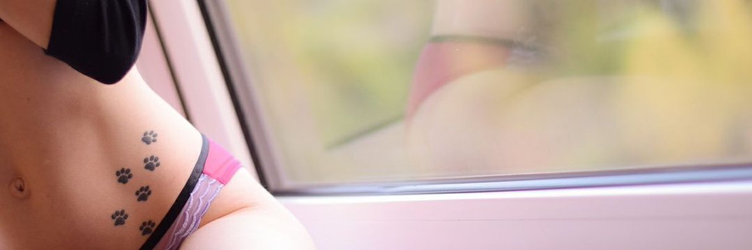 AutumnWolf_SGH Free photo