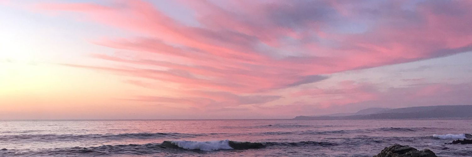 𝑻𝒂𝒓𝒂𝒏𝒕𝒊𝒏𝒐 photo