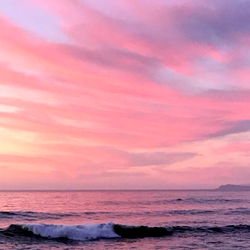 ๐ป๐๐๐๐๐๐๐๐ photo