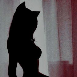 OnlyFans Model Silhouette