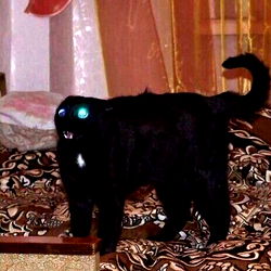 Jesse ๐ซ, A Model from Florida