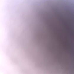 Slanginshit Model Photo