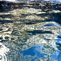 That one gym dude photo