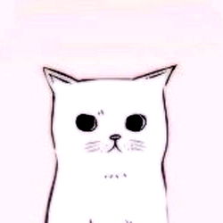 M O R A D I T A ๐ธ photo