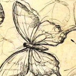 ๐ Naturalโจ Hairy๐ณ ๐ photo