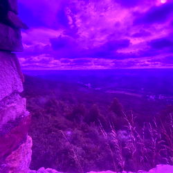 Amorsita ๐ค photo