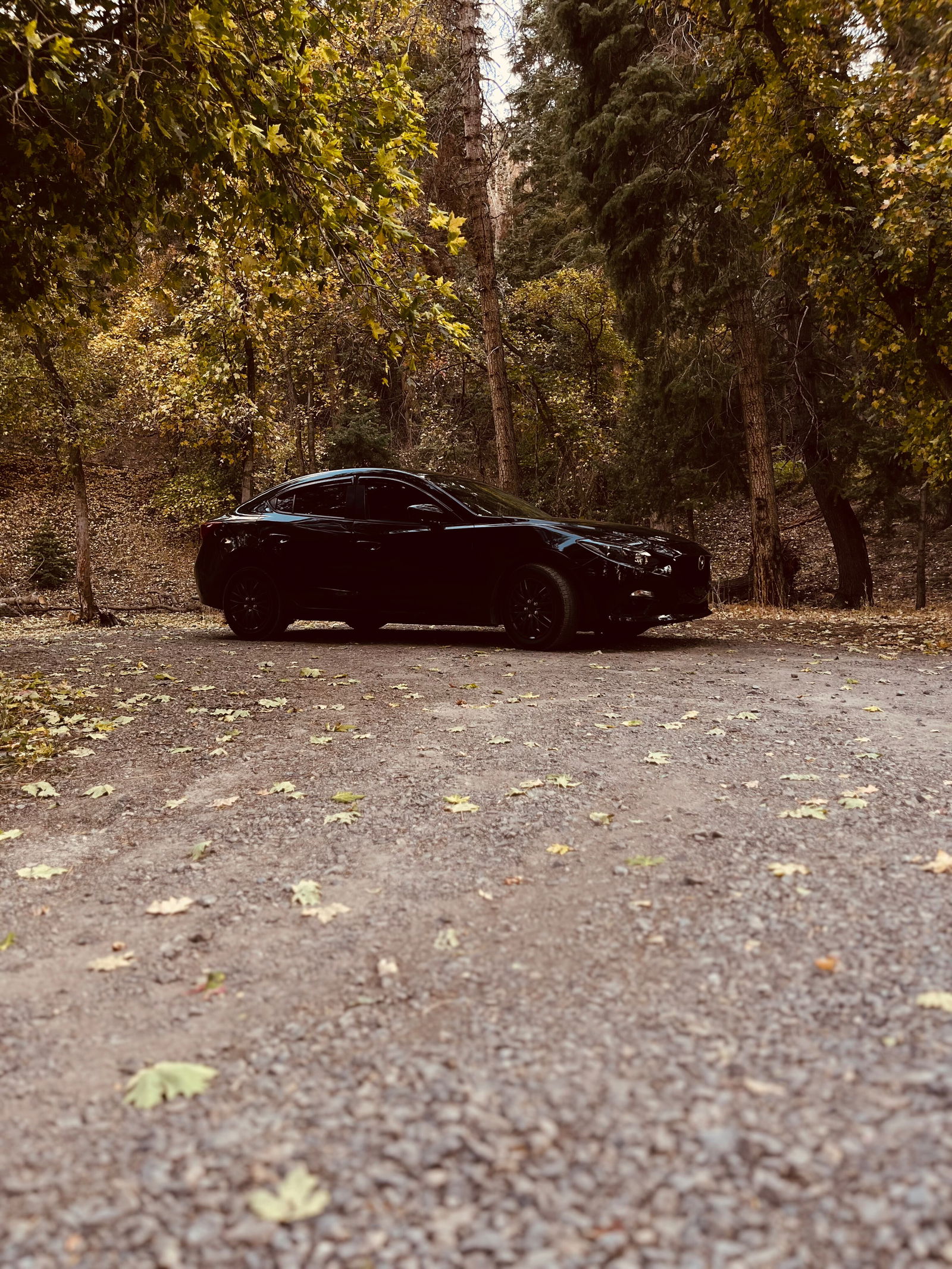 madsmoffitt⚡️ photo