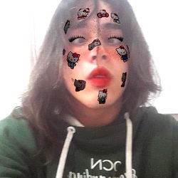 Model Face Alteration