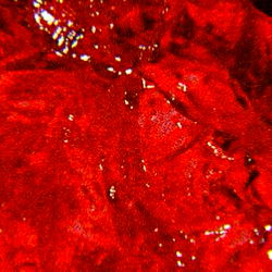 Red Paint on Gray Surface