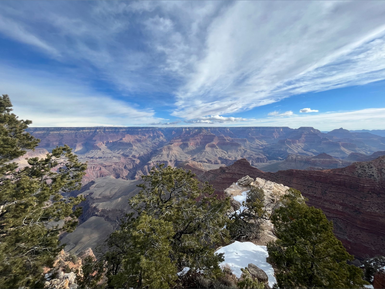Alexander Katayama photo