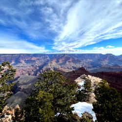 Alexander Katayama photo