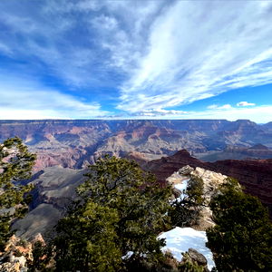 Alexander Katayama photo