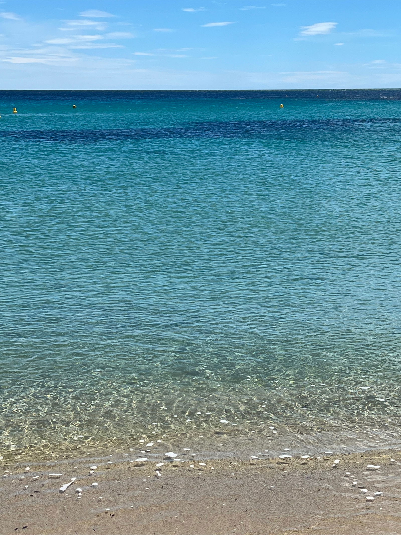 Thick &amp; sweet photo