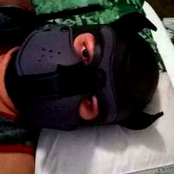 Alpha Pup Doomsday photo