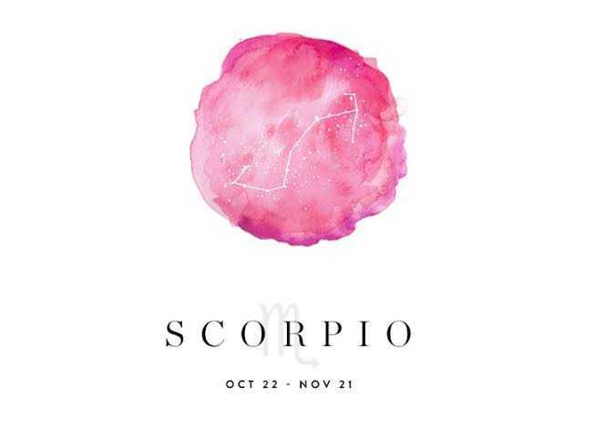 RavishingBerry🍒 photo