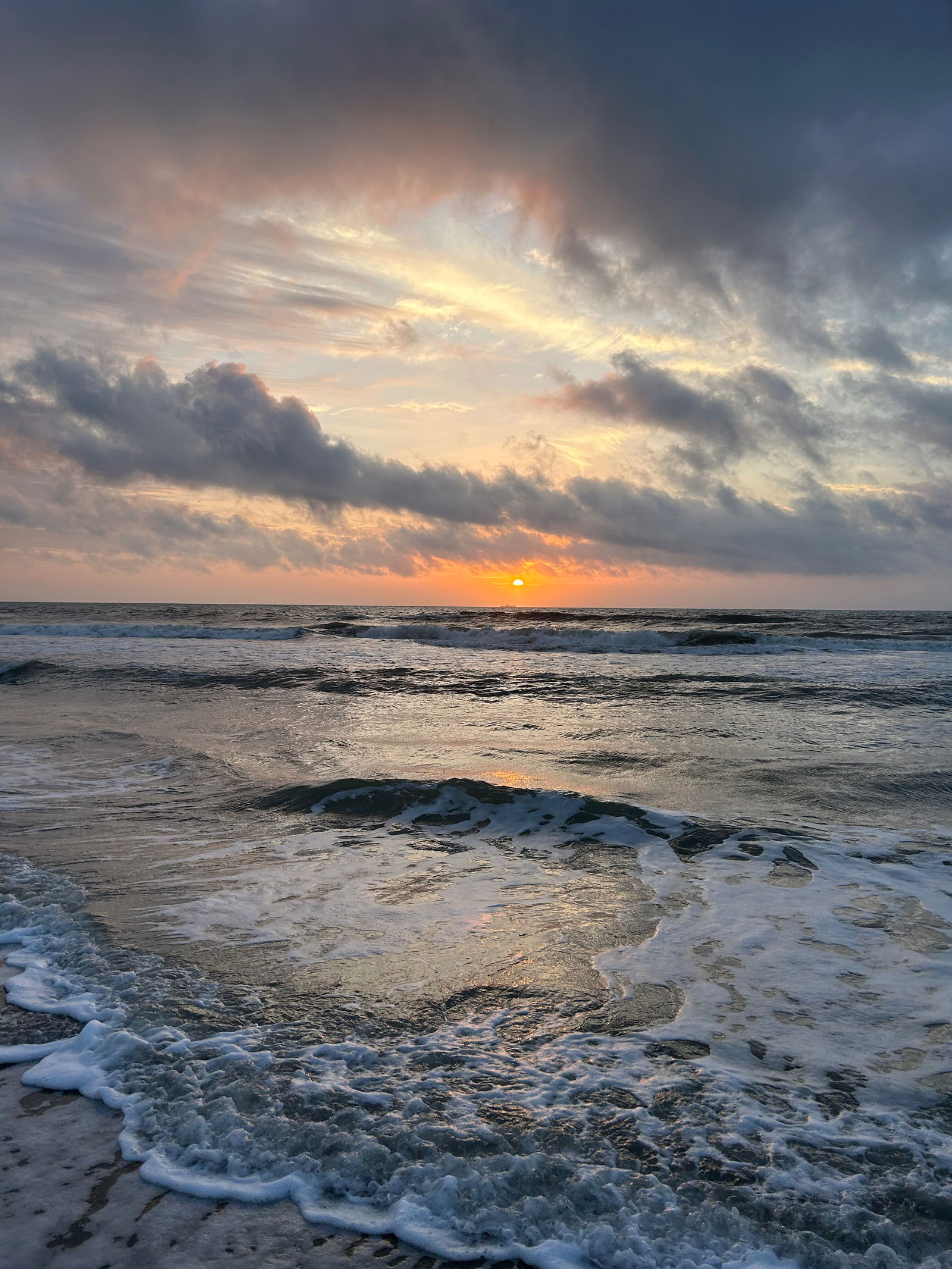 margot ⋆౨ৎ˚⟡˖ ࣪ photo