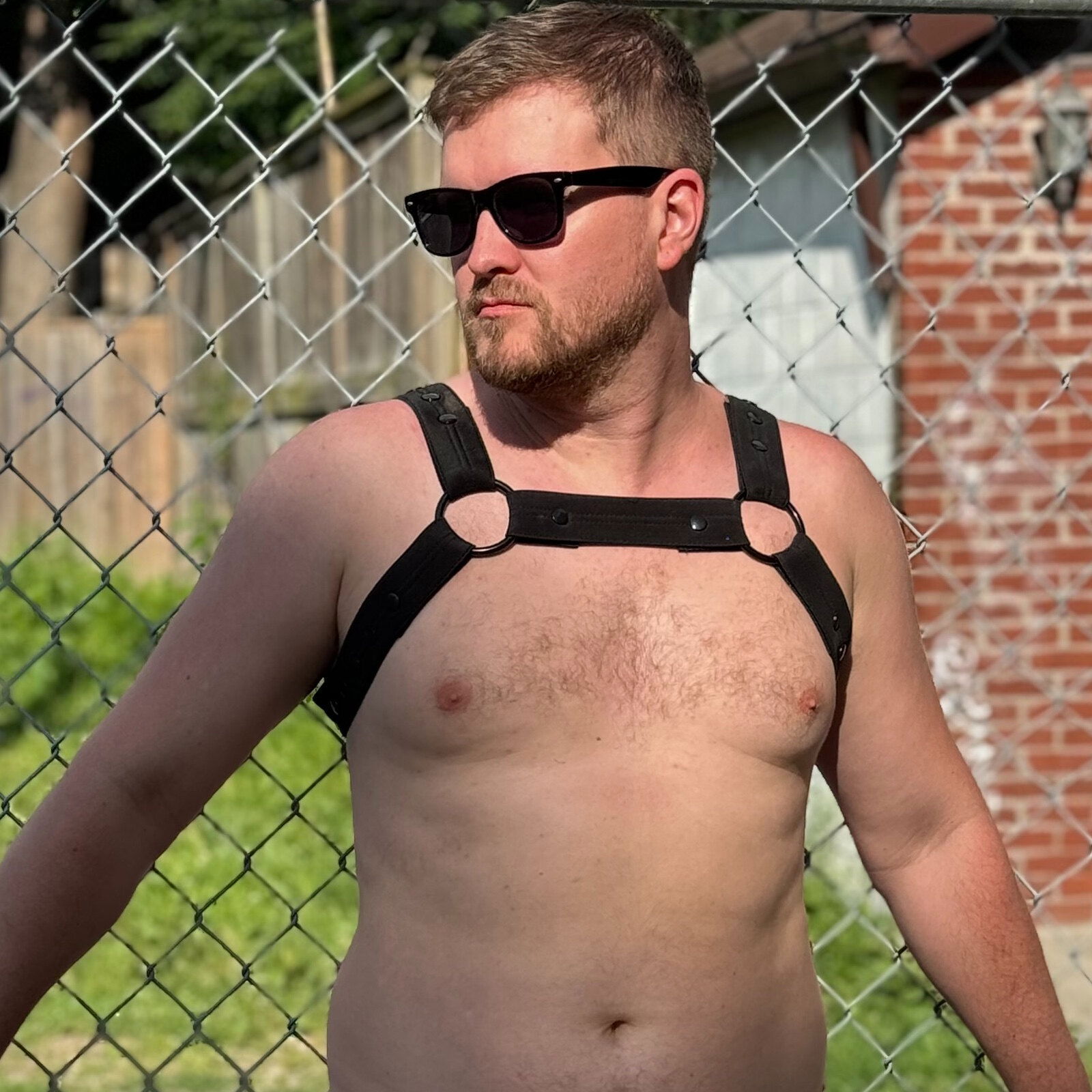 Joey - your naked neighbour photo