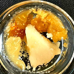 Always fun never love photo