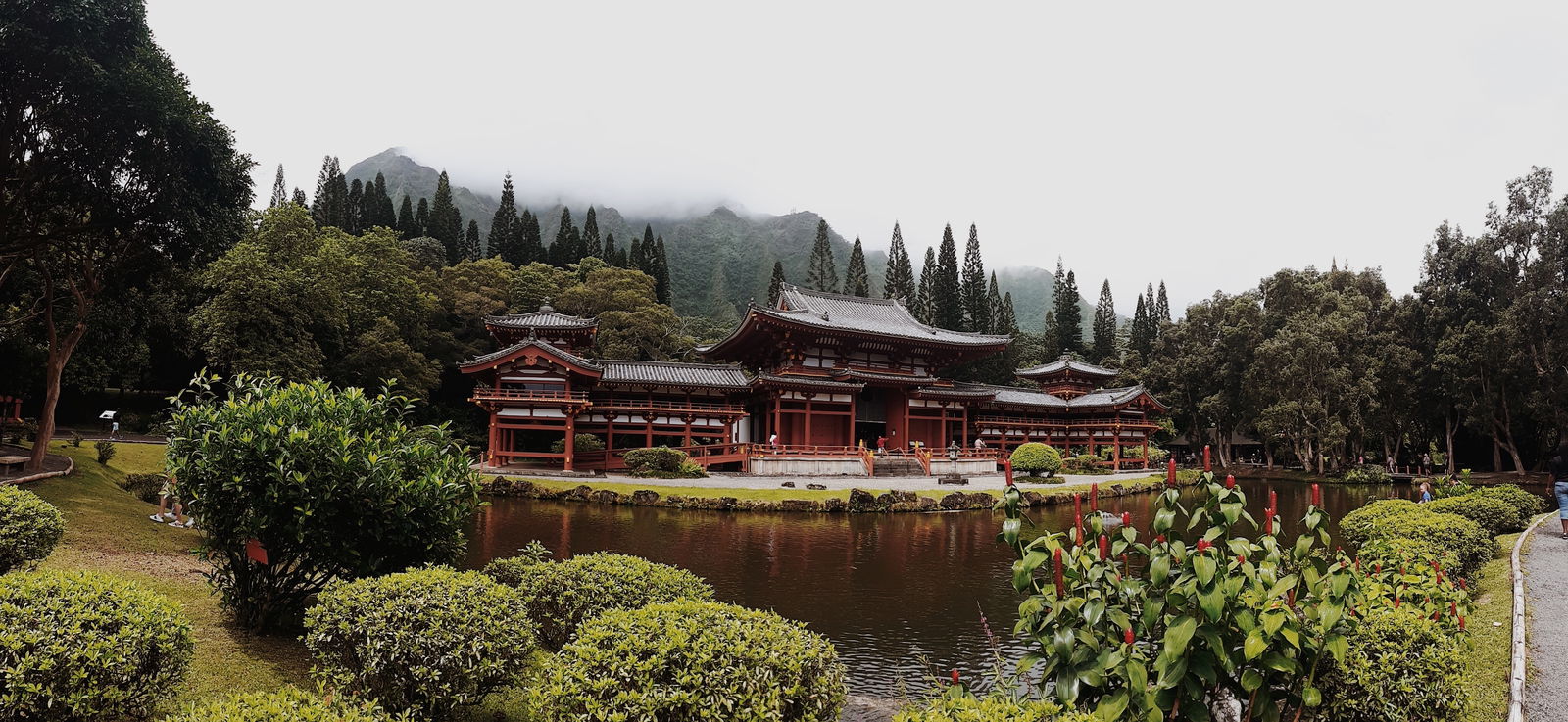 alexandra walker photo