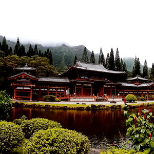 alexandra walker photo