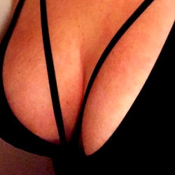 Amateur Ami, Toronto's Finest