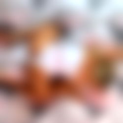 ๐๐ฎ๐ป๐ฏ๐ฎ๐ฌ๐ฝ ๐๐พ๐ผ๐ผ๐ ๐๐ช๐ป๐ซ๐ฒ๐ฎ ๐ photo