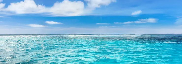 The Shibari Kitten Goes Free photo