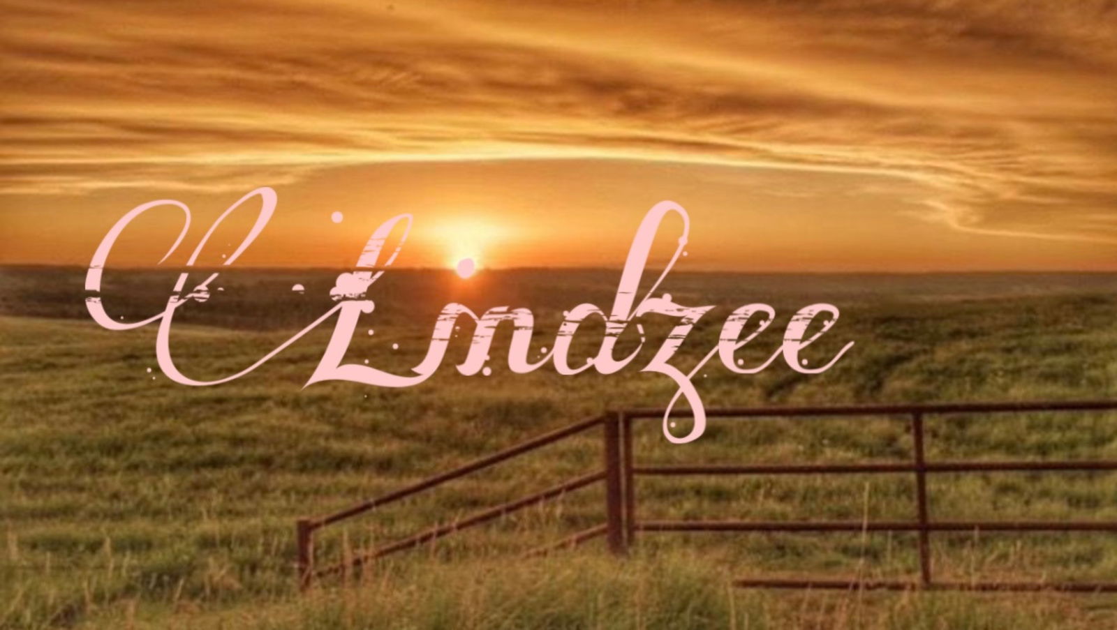 ᥣіᥒძzᥱᥱ photo