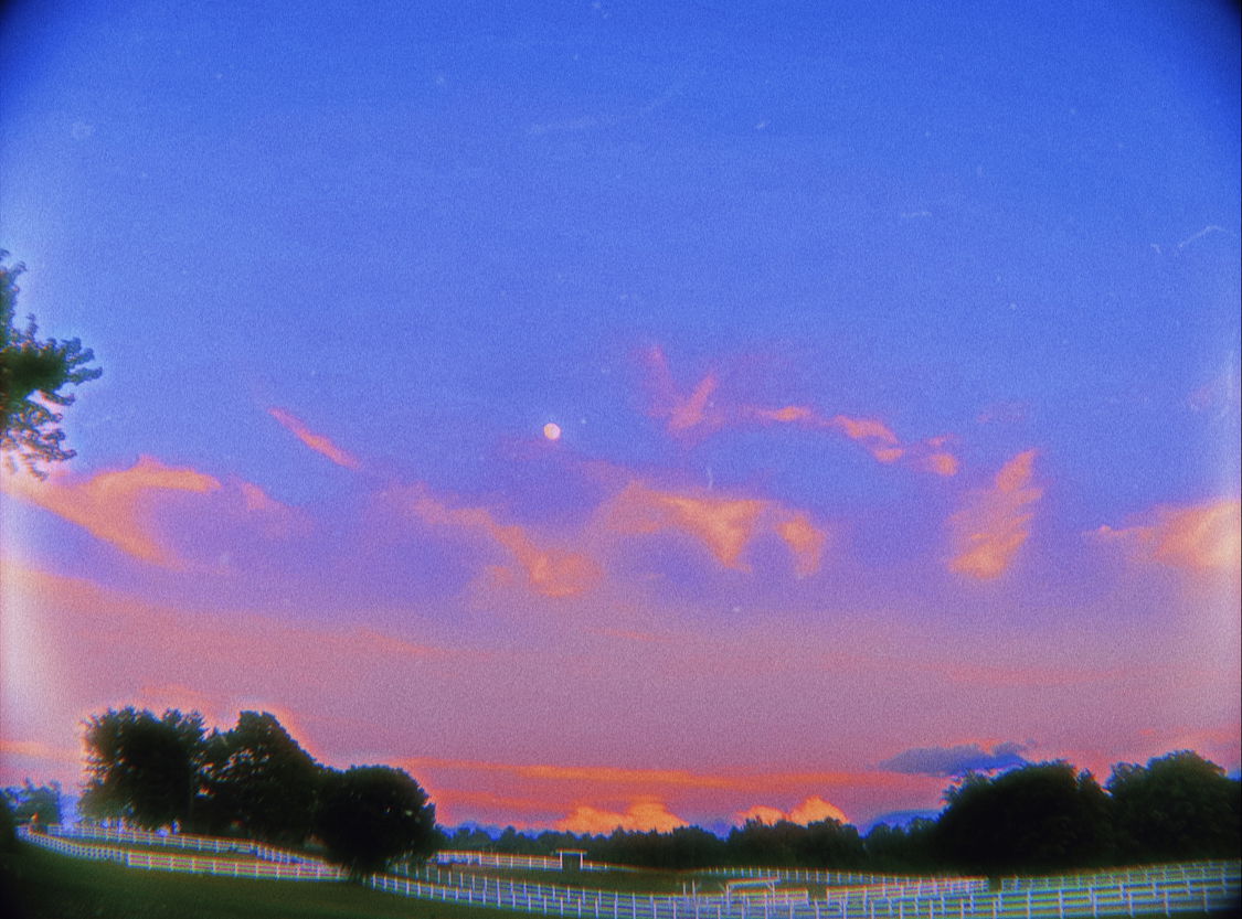 Liam ORiley 🪞 photo