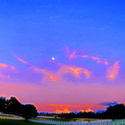 Liam ORiley 🪞 photo