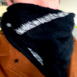 Alt-Taste, a Modern Fashionista