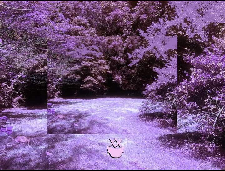 𝙎𝙠𝙚𝙡𝙡𝙮 𝘽𝙤𝙣𝙚𝙨 photo