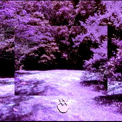 𝙎𝙠𝙚𝙡𝙡𝙮 𝘽𝙤𝙣𝙚𝙨 photo