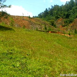 Amaranta๐๐ photo