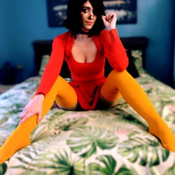 Highland Bunny photo