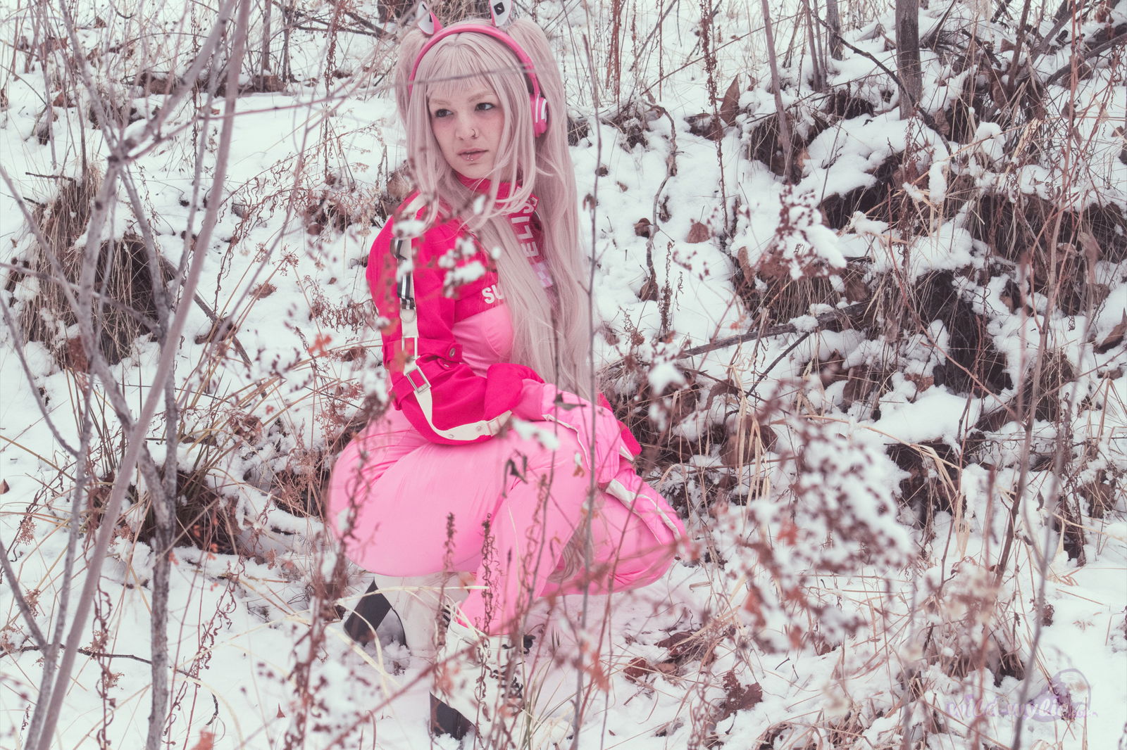 Wylie Wanderlust (Customs Closed) photo