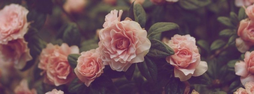 Aleyna Alexiis photo