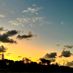 Aiya Amali 🖤 photo